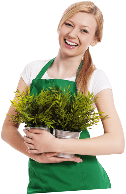 شركة تنسيق حدائق