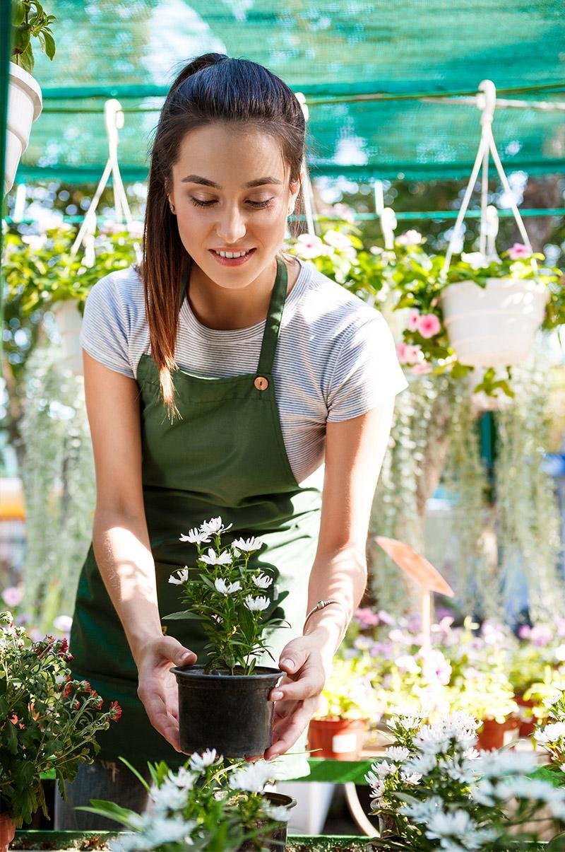 Gardeny about service